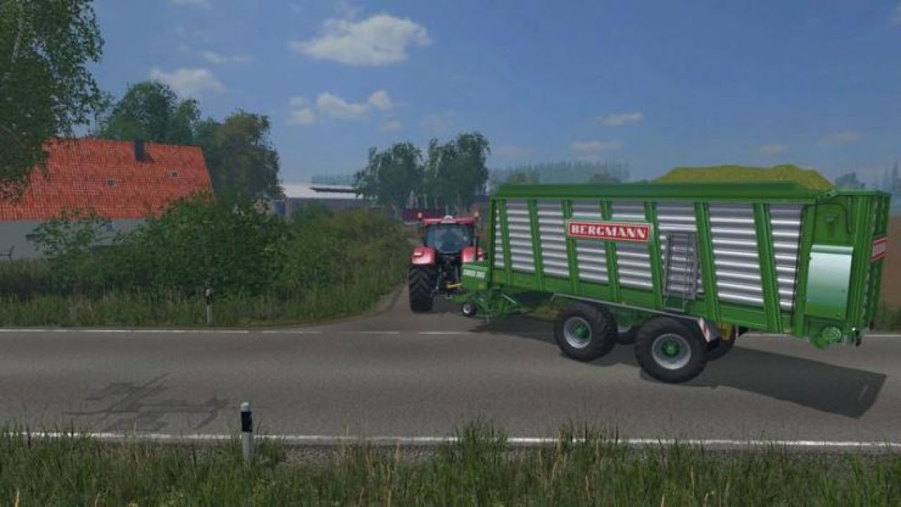 Bergmann Carex 38S