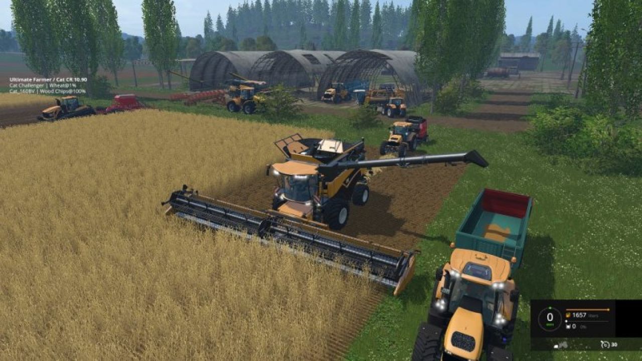 Cat Challenger and Cat Lexion Pack