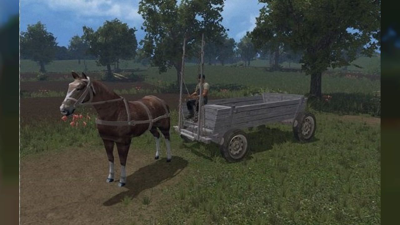 HORSE AND CART