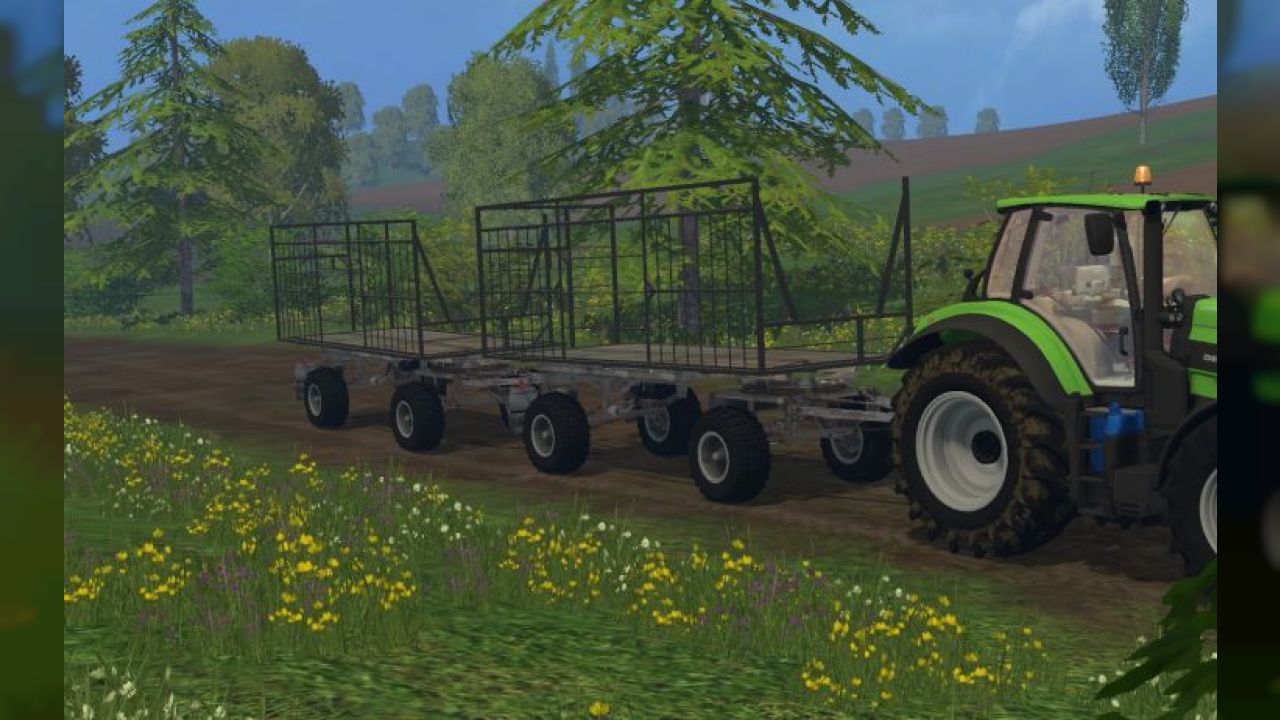 HW 80 Ballenwagen V1