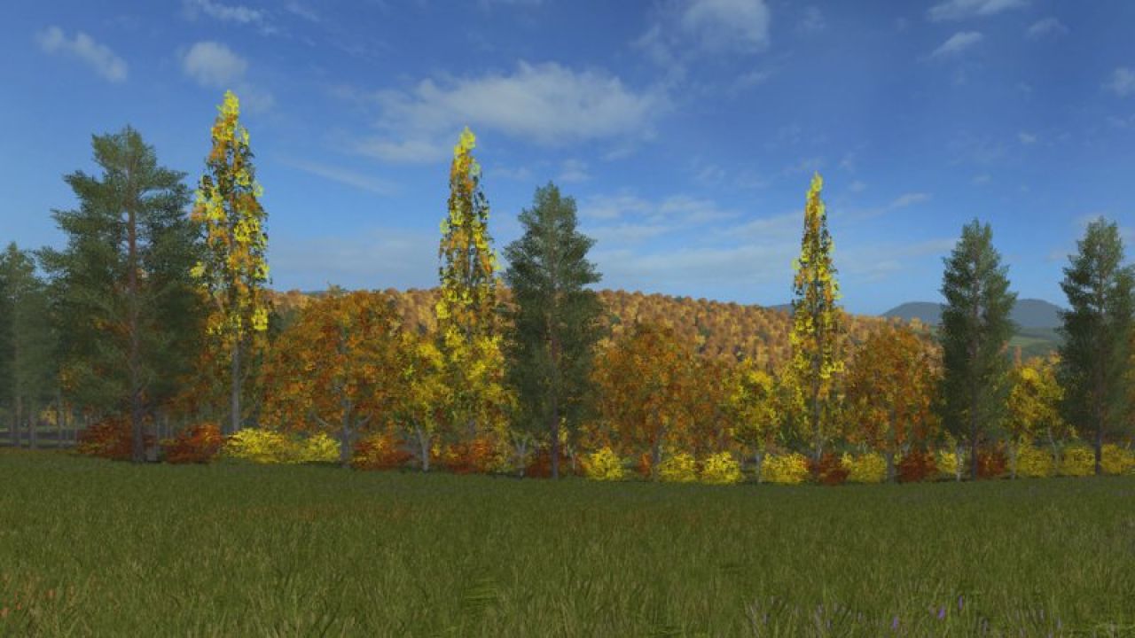 Autumn Trees