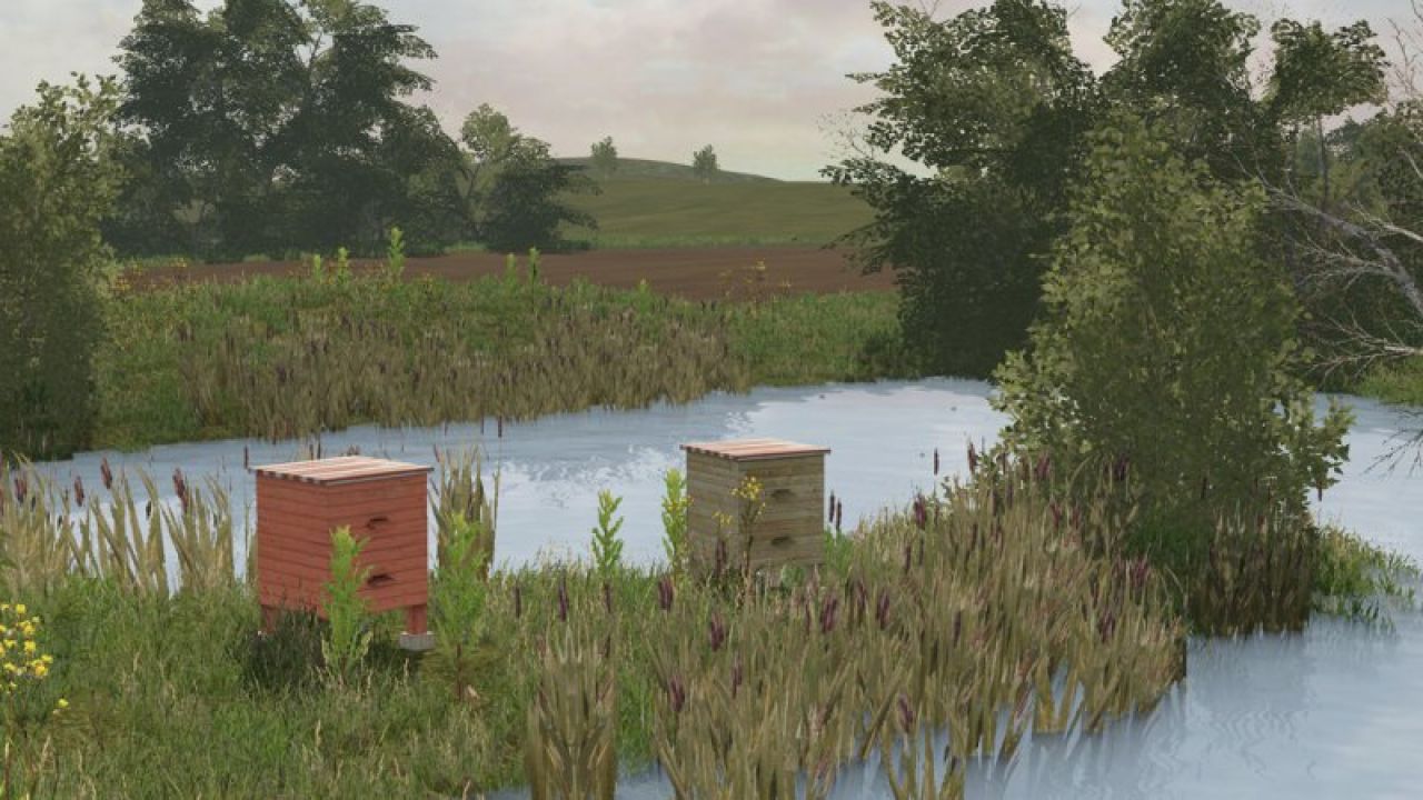 Beehive