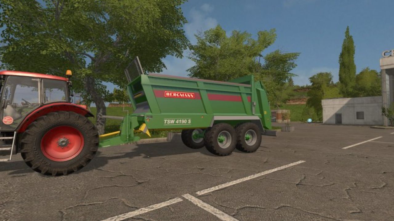 Bergmann TSW 4190 S