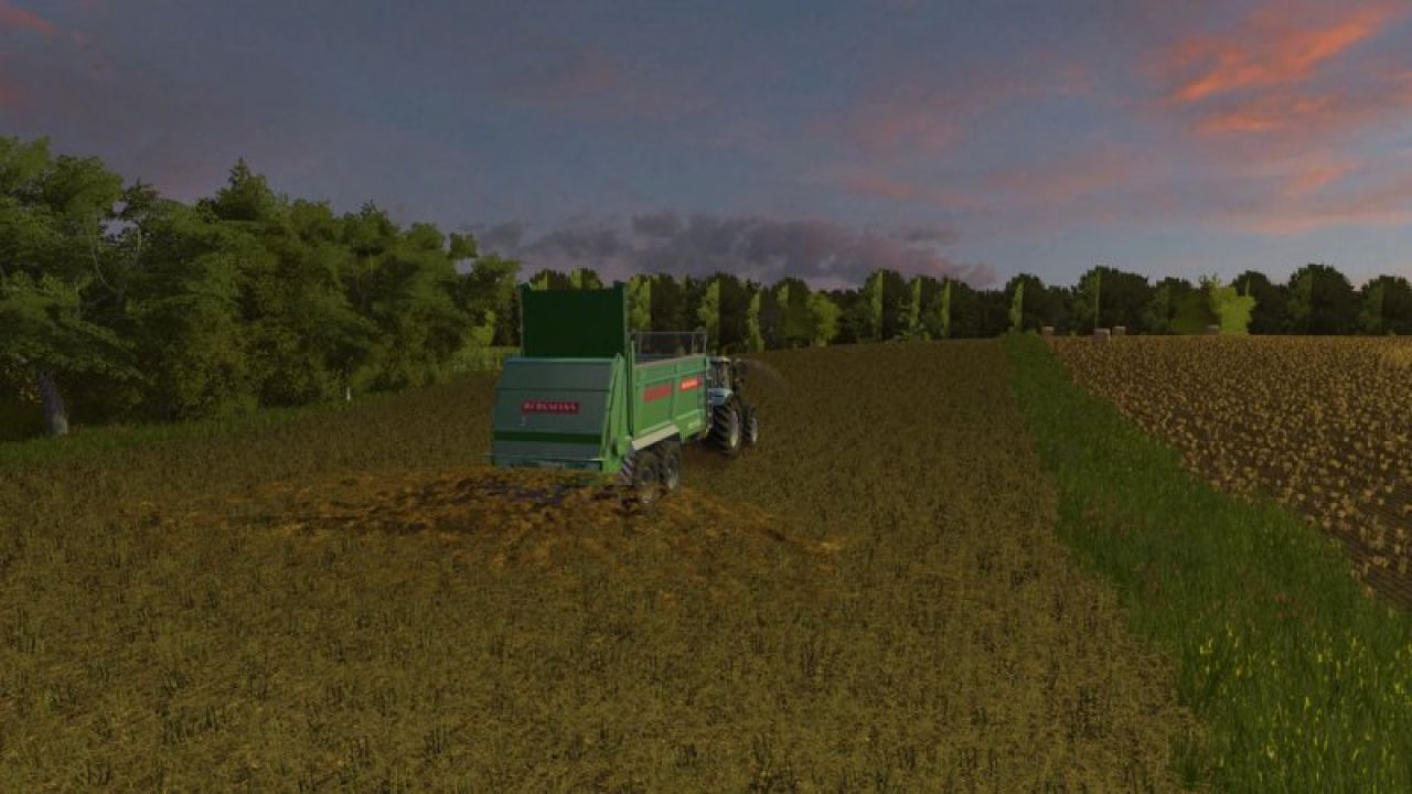 Bergmann TSW 4190 S