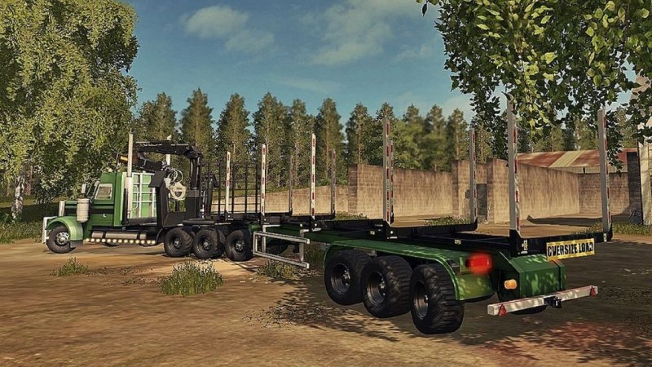 BsM Trailer Semi-log 80000/6