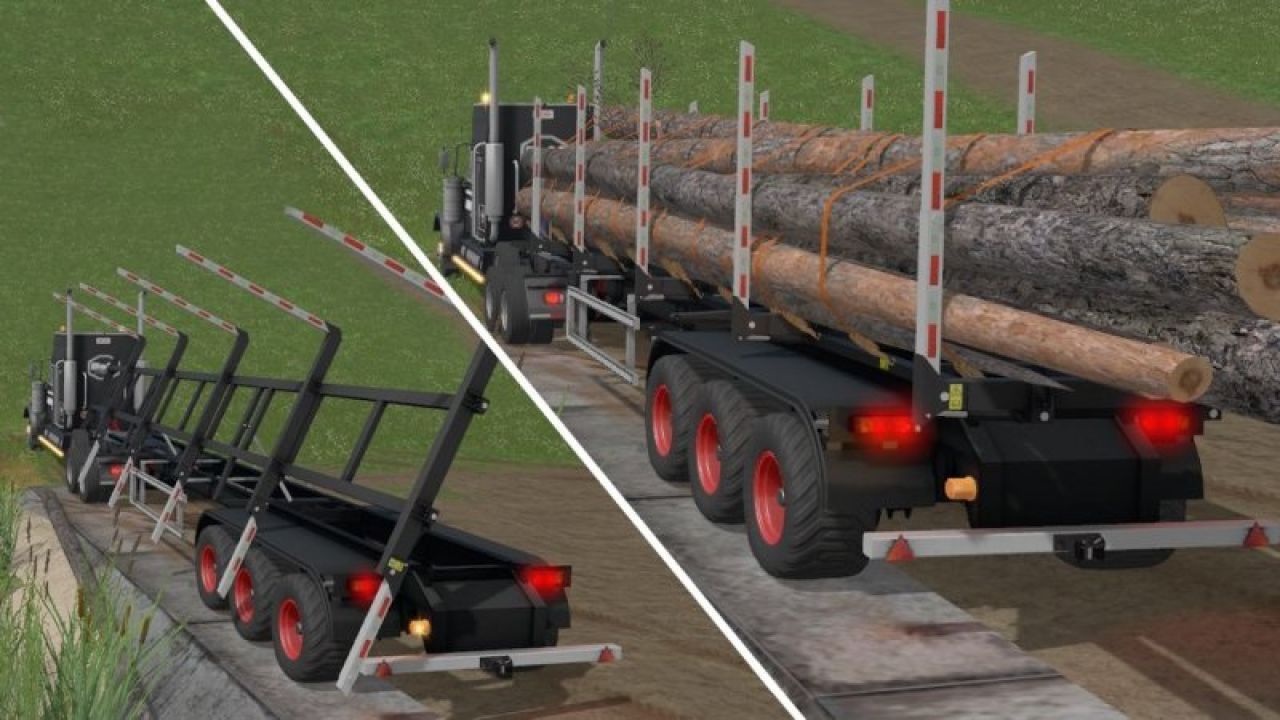 BsM Trailer Semi-log 80000/6