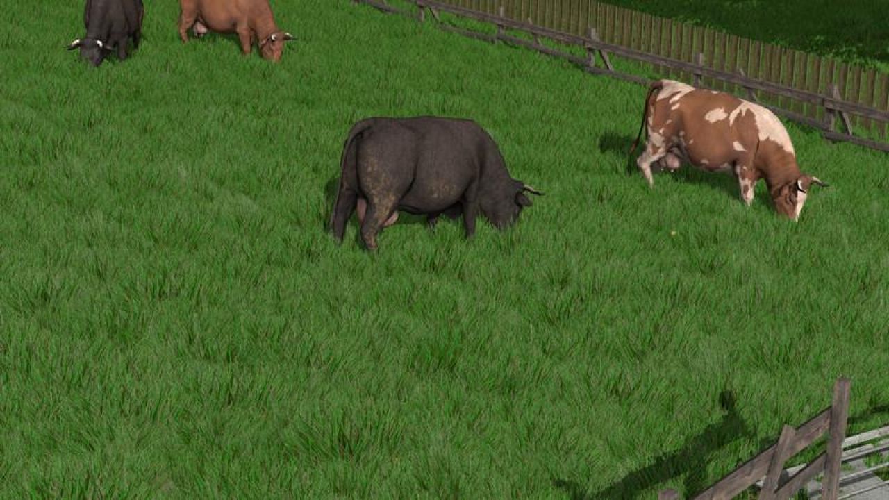 DENSE LOOKING GRASS TEXTURE V1.17