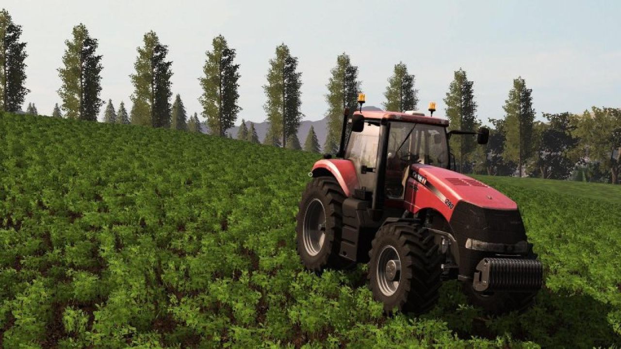 FAZENDA MORRO ALTO PLATINUM