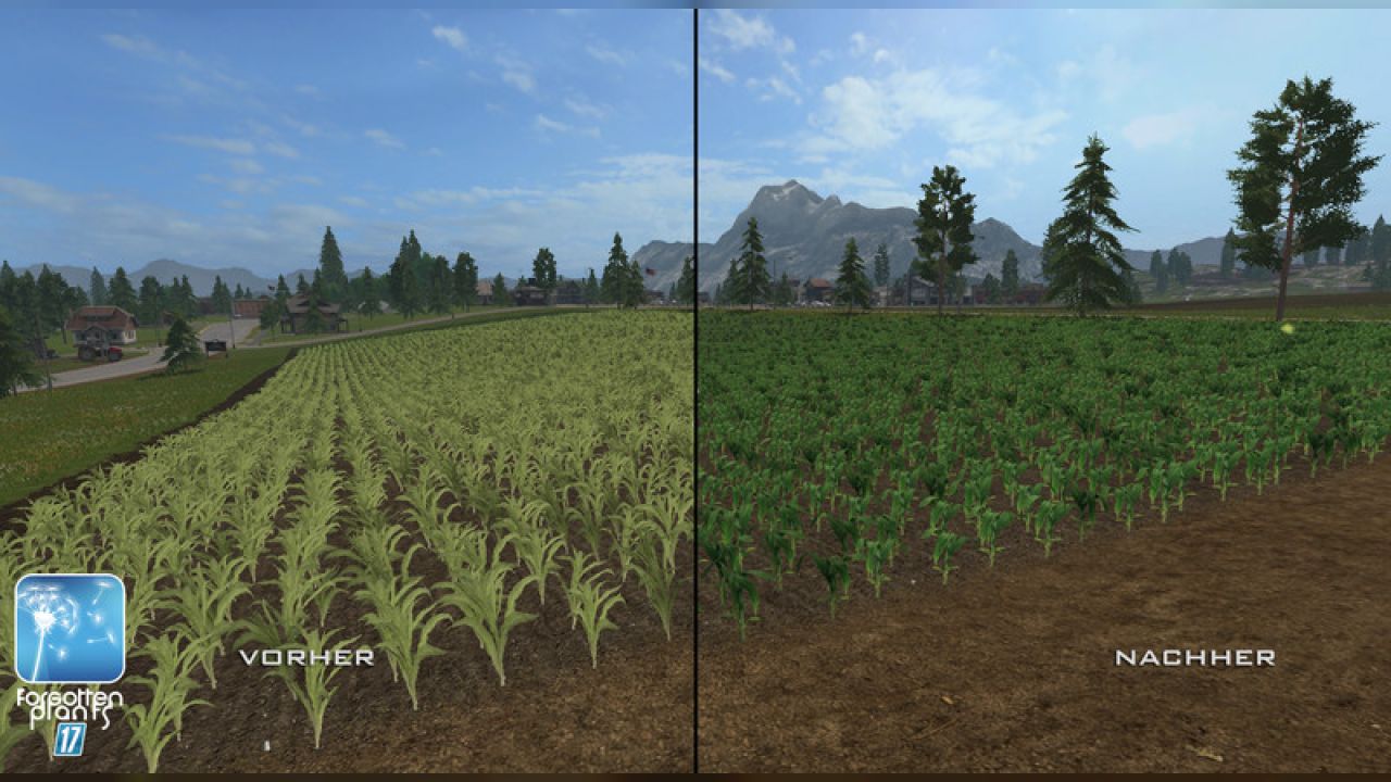 Forgotten Plants - Maize