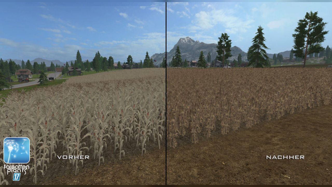 Forgotten Plants - Maize