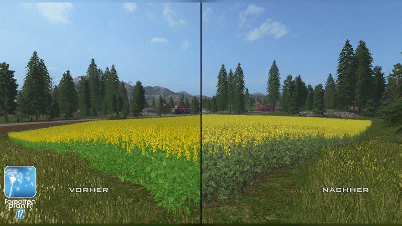 Forgotten Plants - Rape