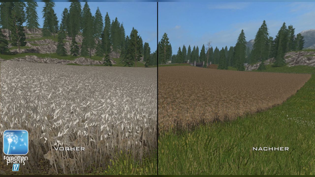 Forgotten Plants - Soybean