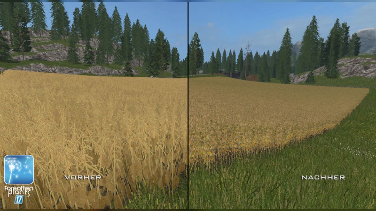 Forgotten Plants - Soybean