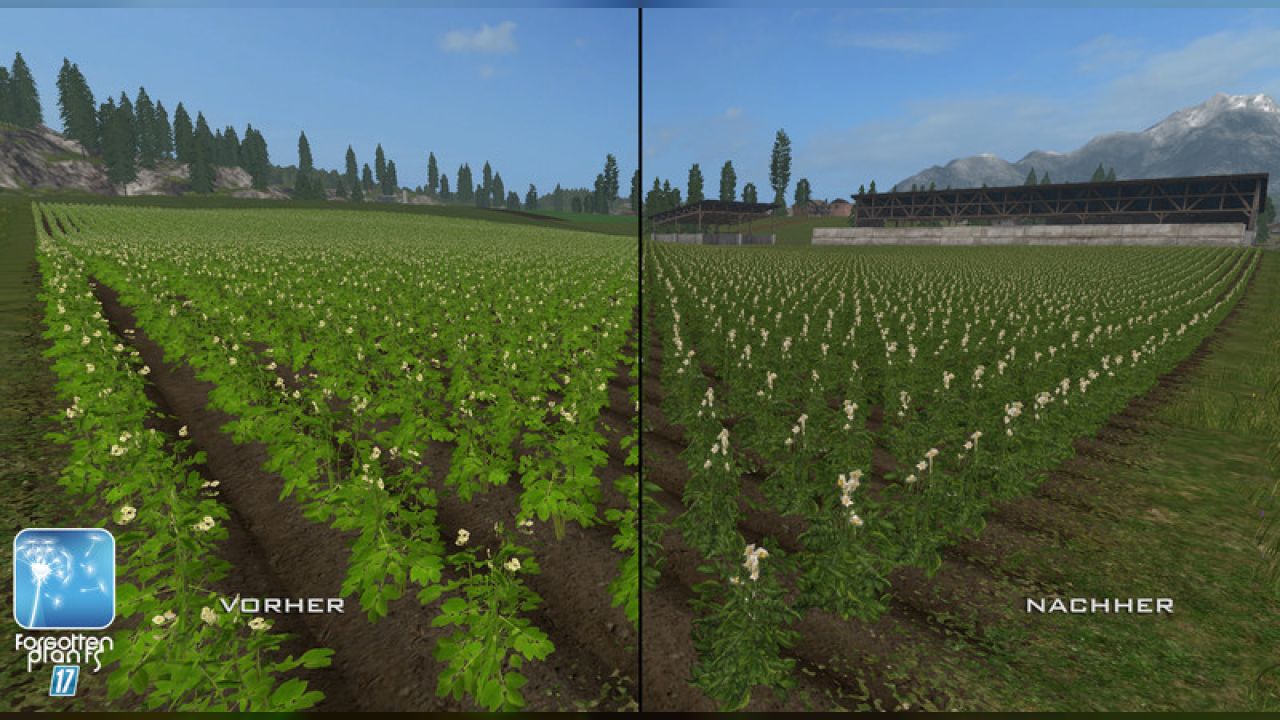 Forgotten Plants - Sugerbeet / Potatoes