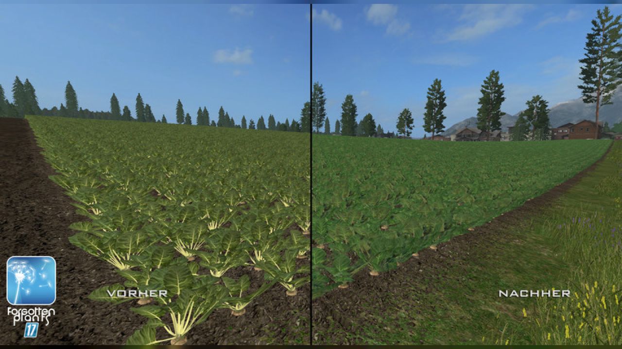 Forgotten Plants - Sugerbeet / Potatoes