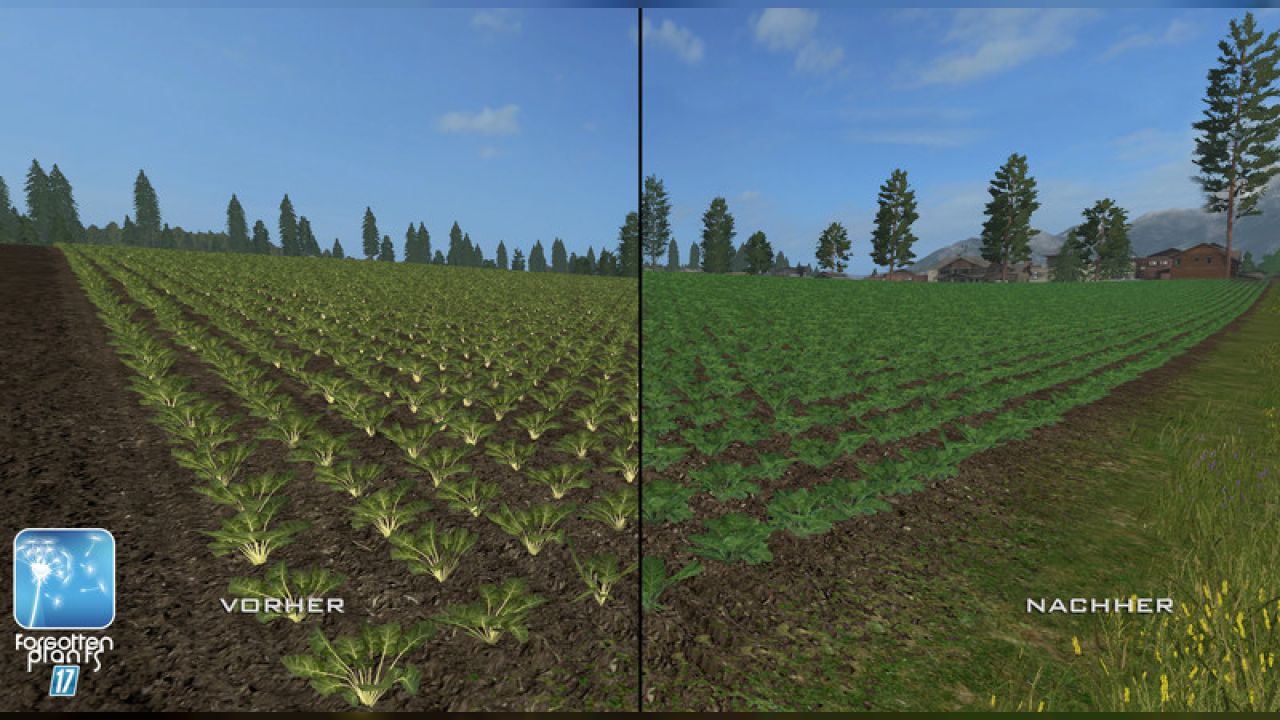 Forgotten Plants - Sugerbeet / Potatoes