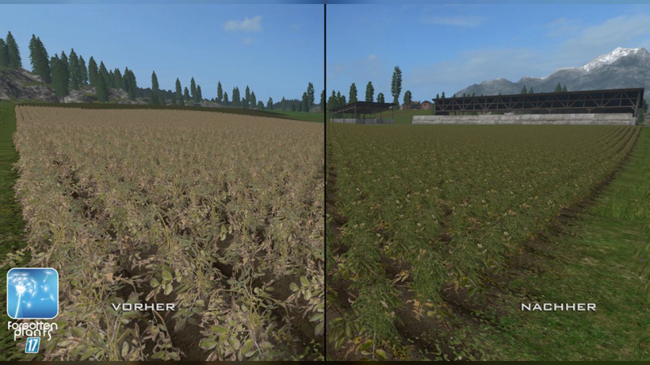 Forgotten Plants - Sugerbeet / Potatoes
