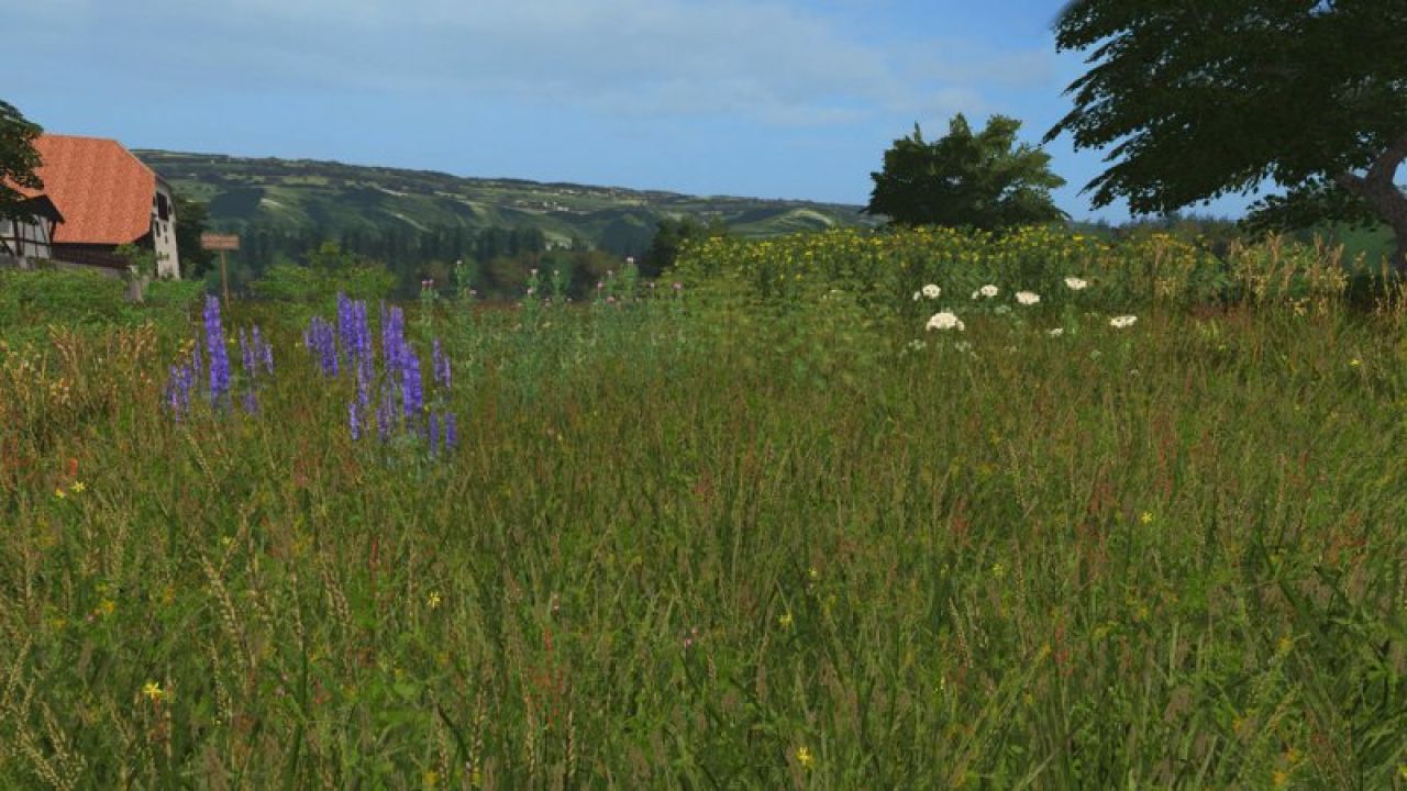 Forgotten Plants - Textureset v1.1