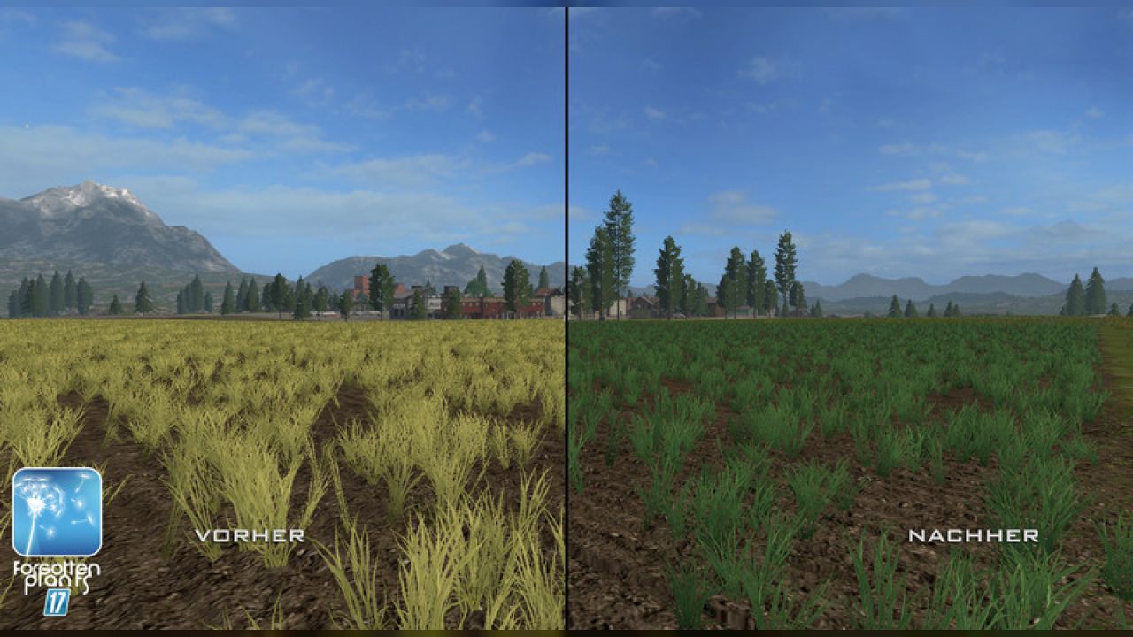 Forgotten Plants - Wheat / Barley