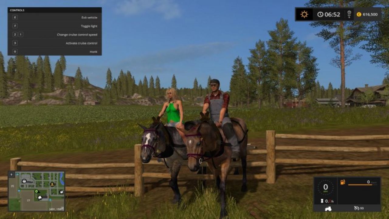 Hard Working Horses