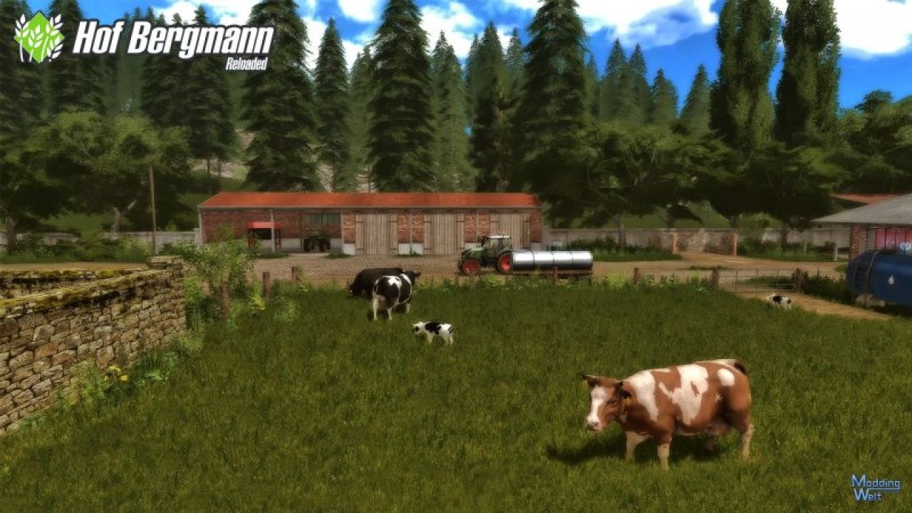 Hof Bergmann - Reloaded v1.0.0.6