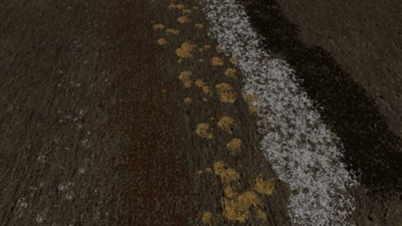 Jogisfelden 1.0.0