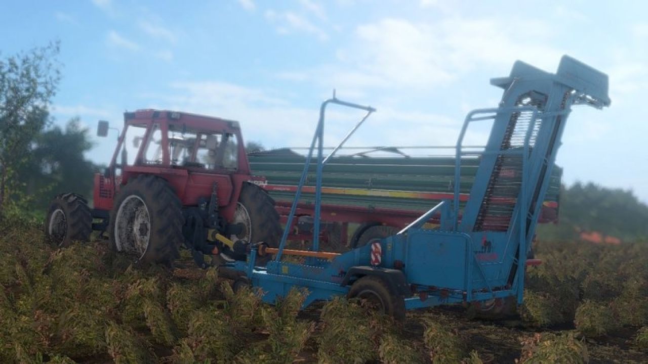 Krukowiak Z437