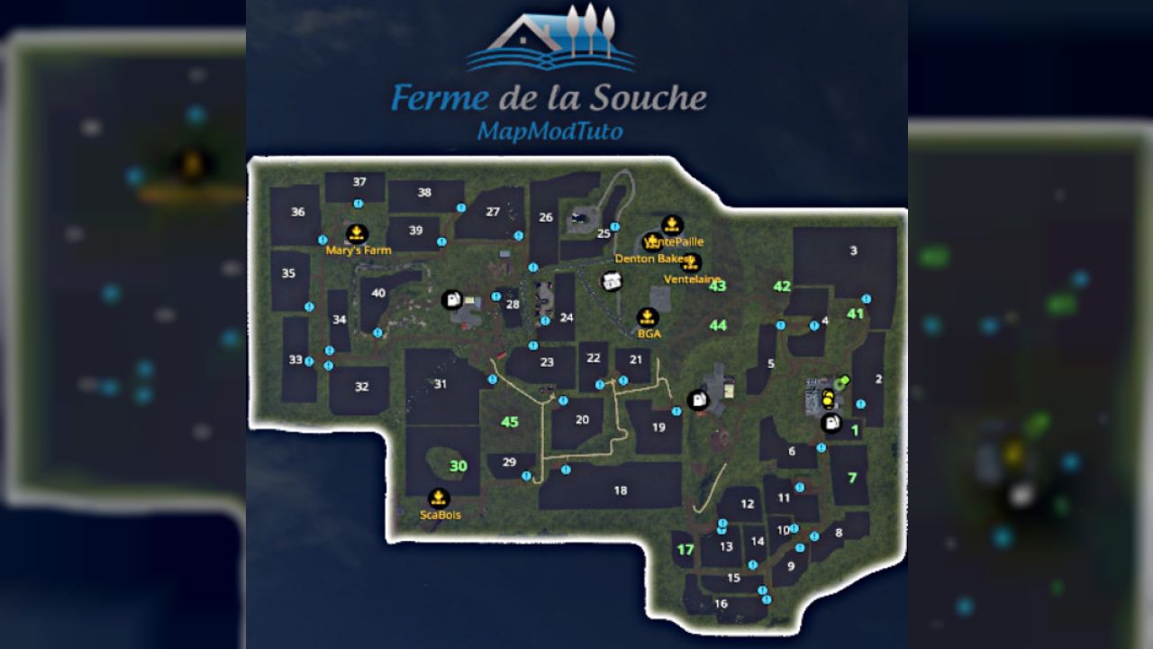 La Vieille Souche