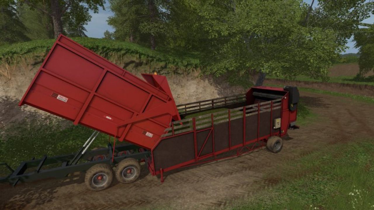 Lizard FDT8m
