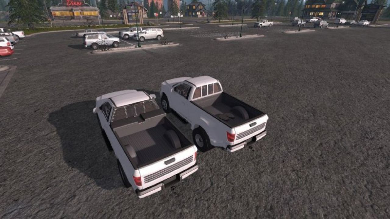 Lizard SingleCab