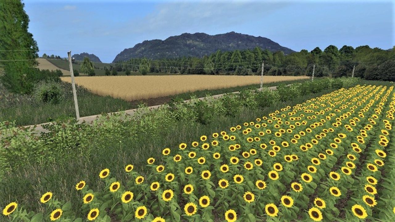 Patakfalva Map Fs17
