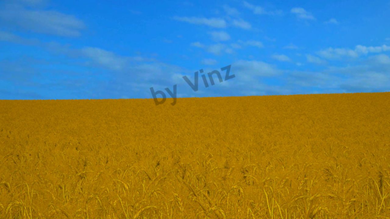 Photo Realistic Graphic Mod