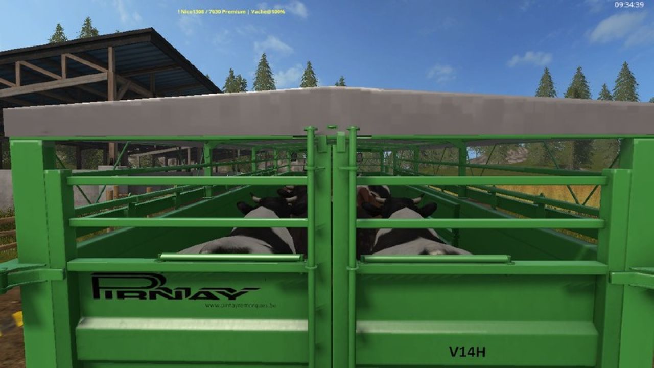 Pirnay V14H