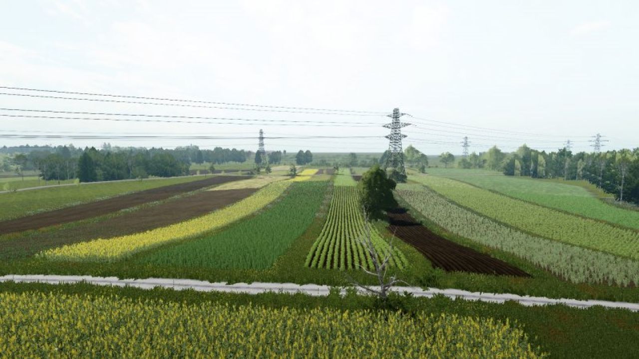 Polish Countryside