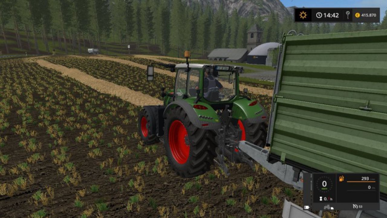 Real Straw Texture