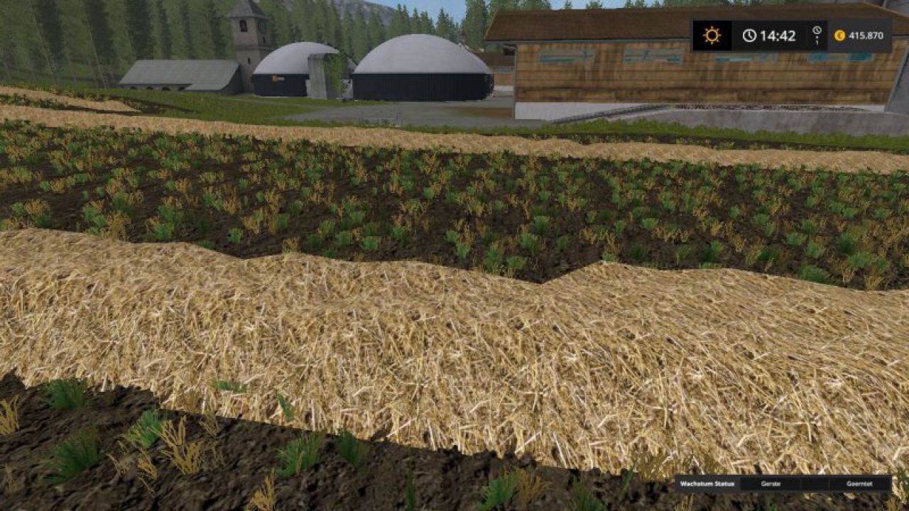 Real Straw Texture
