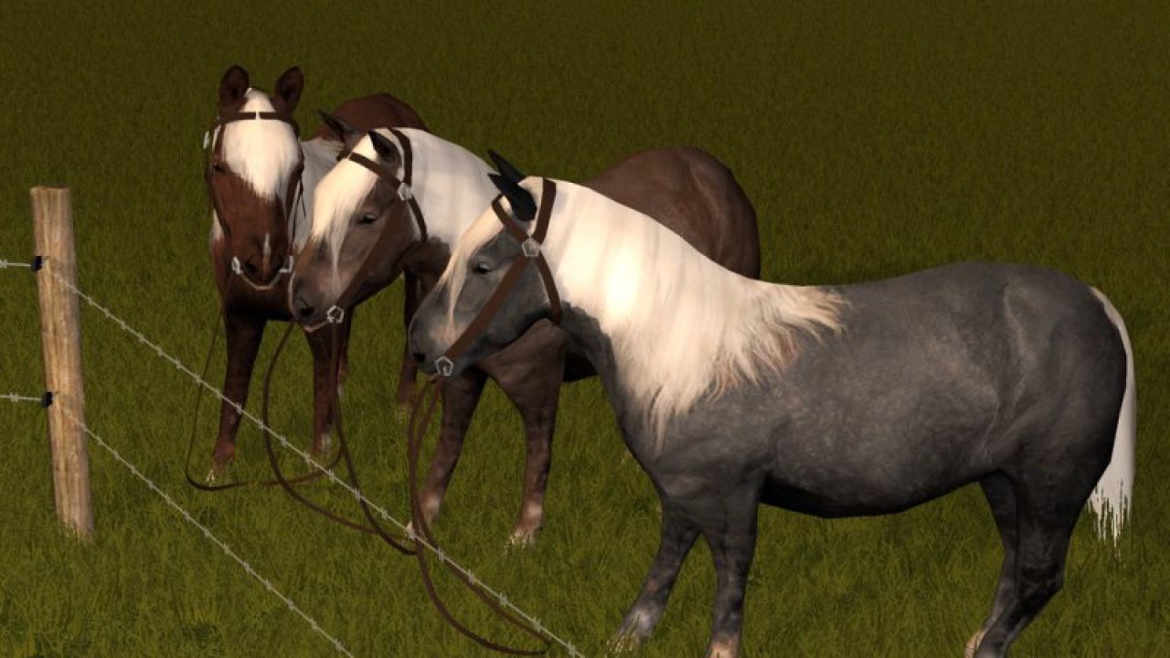 Rideable Pony