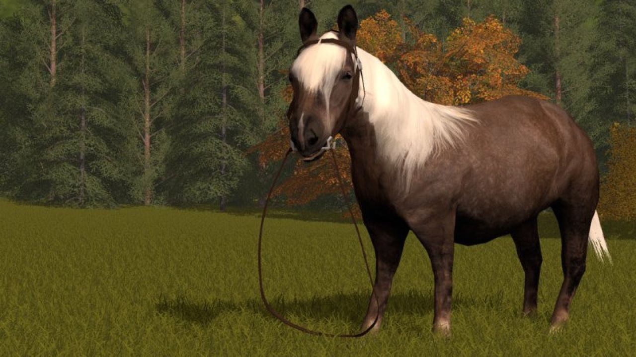 Rideable Pony
