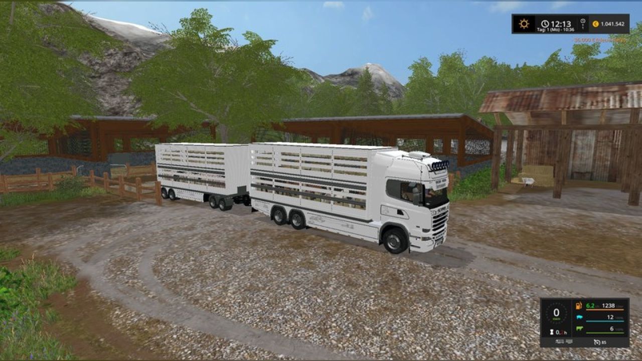 Scania cattle transport