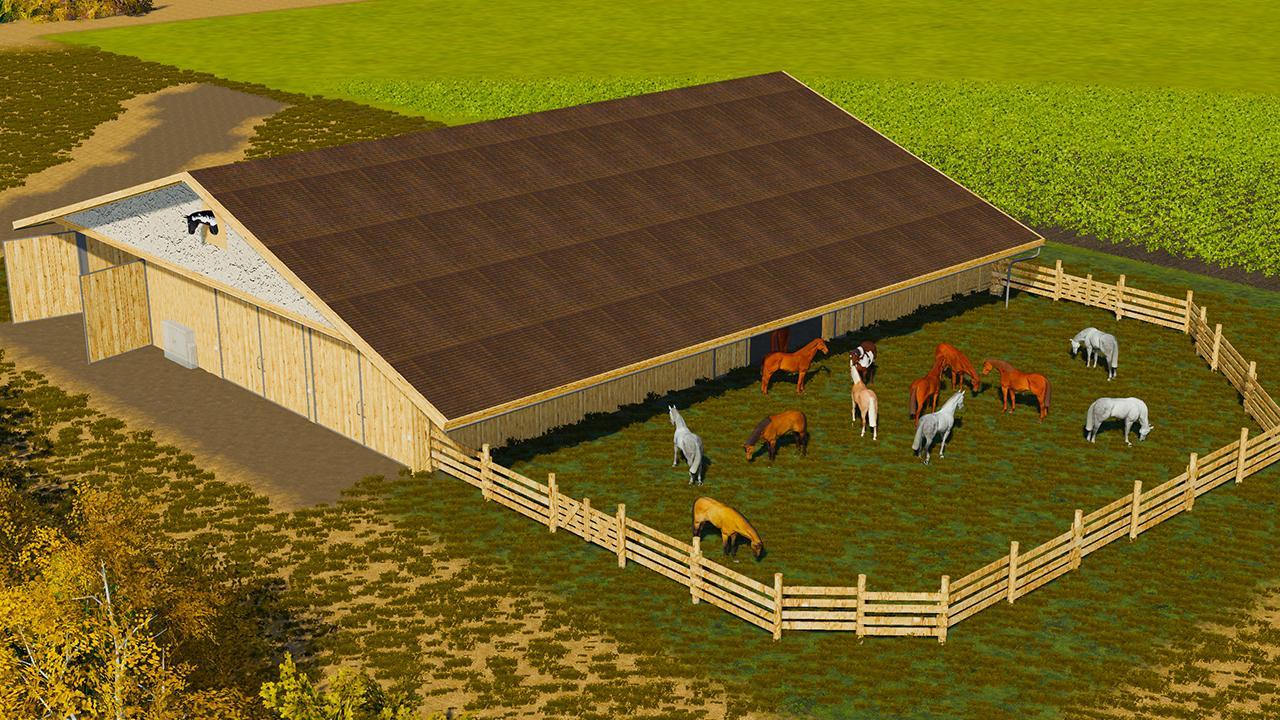 Horse paddock with box