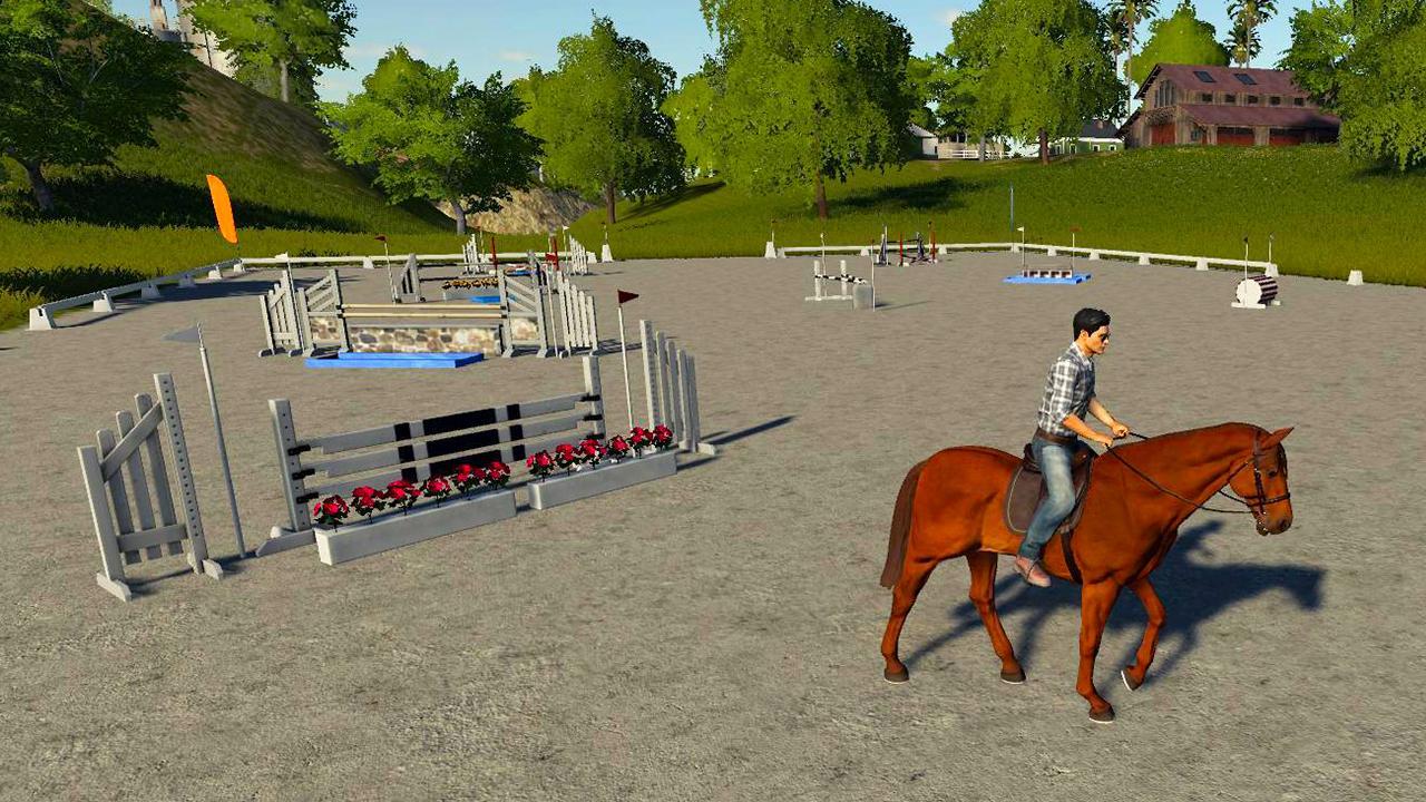 Parcours d'obstacles chevaux