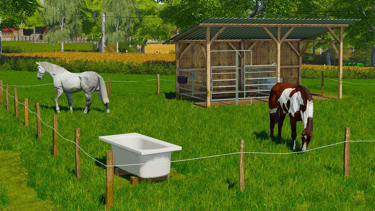 Small horse enclosure