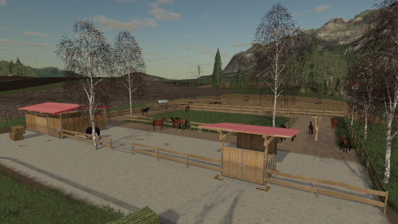 Active Horse Stable