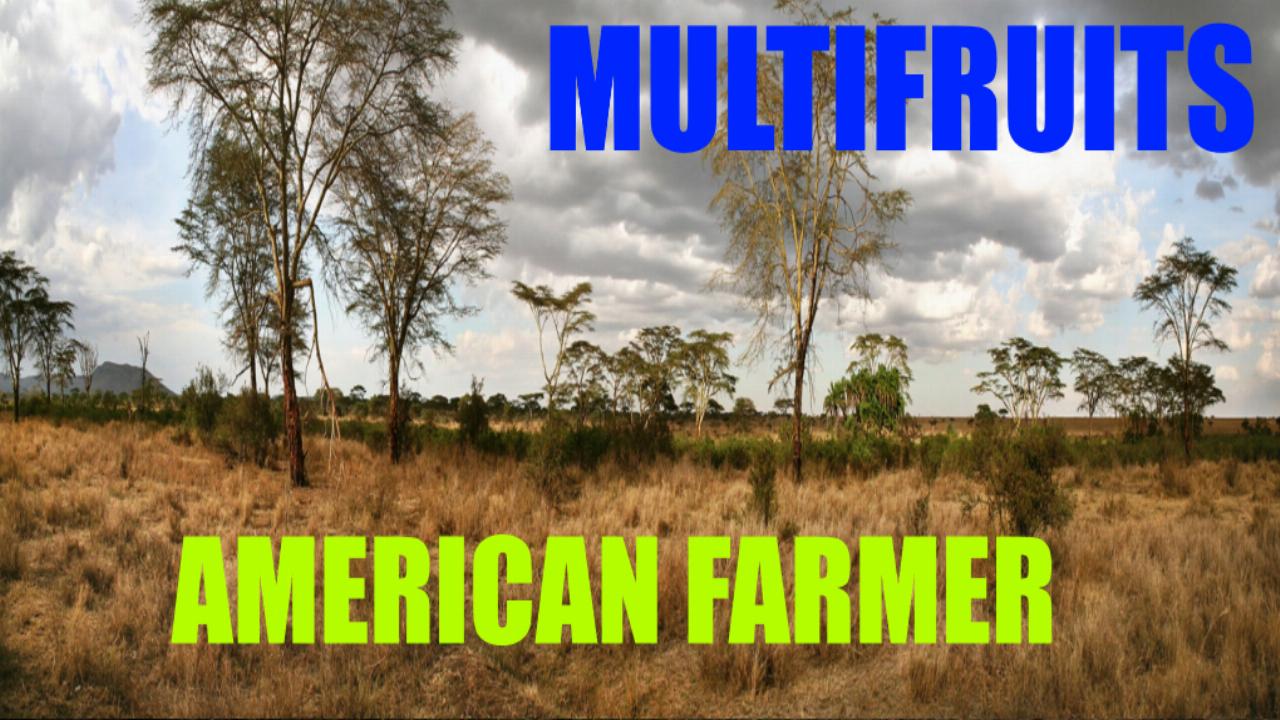 American Farmer