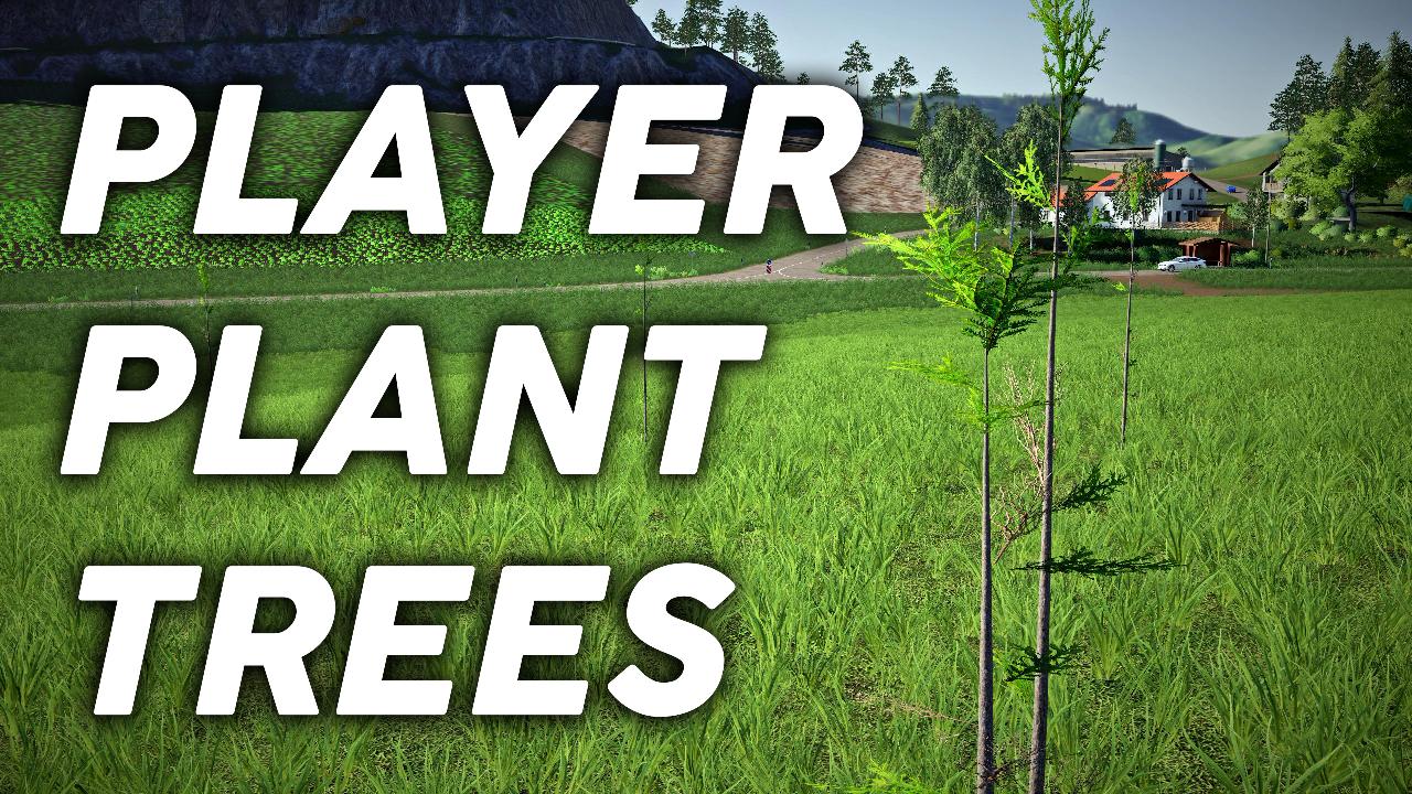 Pouvoir planter des arbres