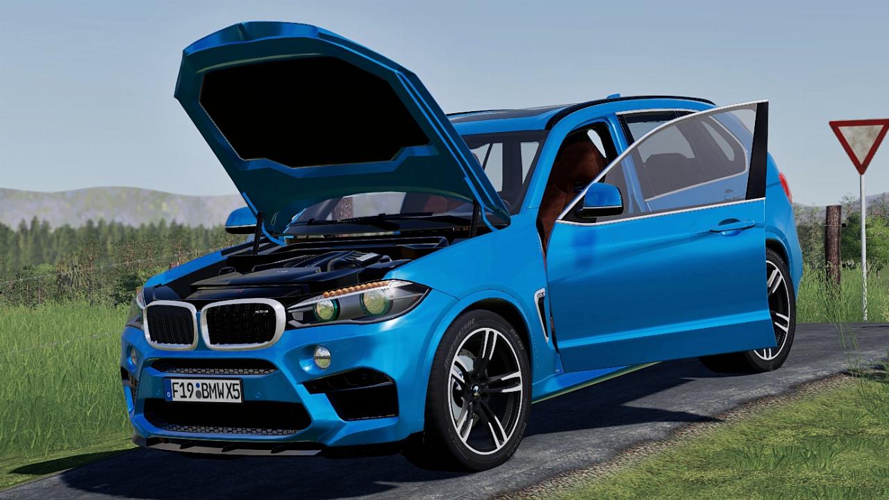 BMW X5M