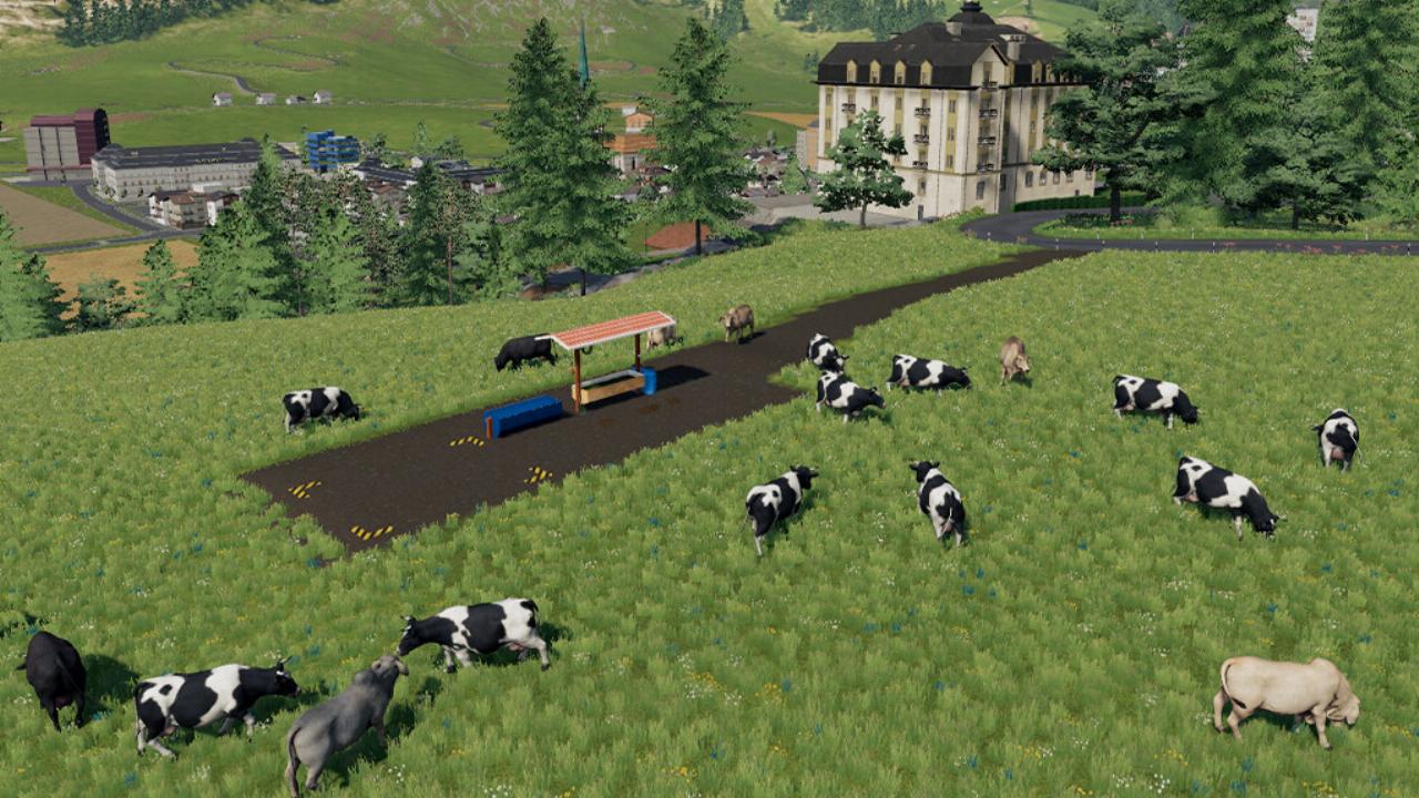 Brazilian Open Cow Pasture