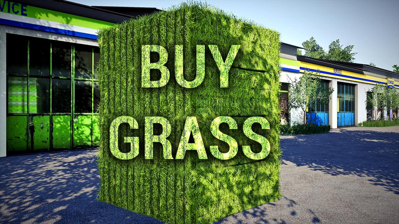 Buyable Grass