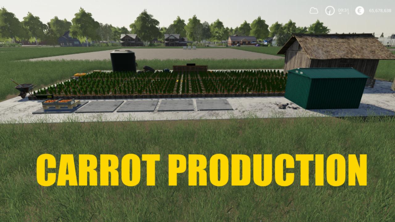 Carrot farm
