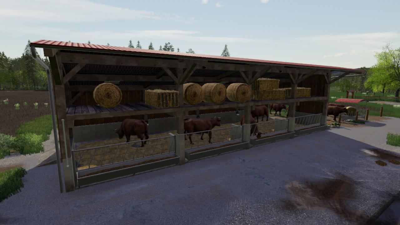 Cattle Barn With Strawstage